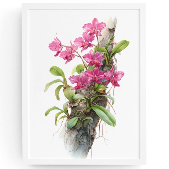 Watercolor Pink Orchids Wall Art Print Unframed - Elegant Floral Serenity - Picture 1 of 6